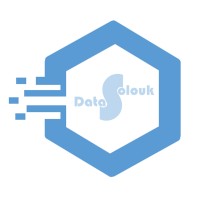 DataSolouk logo - Similar company to Homacloud || هما