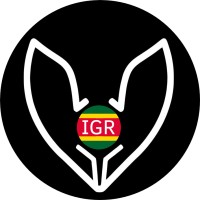 Innovageek Robotics logo - Similar company to Ema