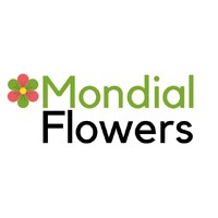 Mondial Flowers logo - Similar company to Neural Peace