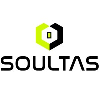 Soul Tech Solutions logo - Similar company to Soul Tech Solutions