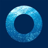 Pearlfisher Capital Limited logo - Similar company to Sonar6 (Acquired By Cornerstone Ondemand)