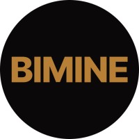 BIMINE logo - Similar company to Vertex Group  A.S. Rezidenční Developer