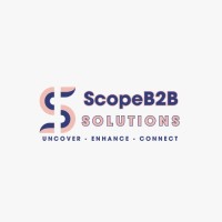 ScopeB2B Solutions logo - Similar company to Basic It