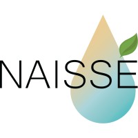 Naisse Skincare India logo - Similar company to Abbot Media