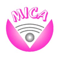 International Research Institute Mica