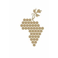 Icewine Africa logo - Similar company to Paradox Asia 杭州鼎世