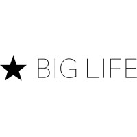 Big Life Management logo - Similar company to Statechanged