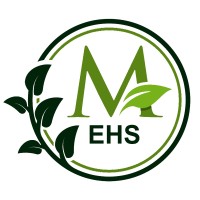 Masters EHS Consultants logo - Similar company to Ehs Circle India