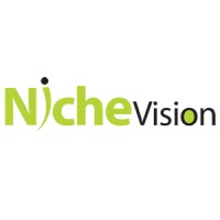 Niche-Vision logo - Similar company to Digmoz