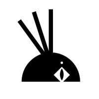 Apopheoz.studio logo - Similar company to Gintoft Boutique