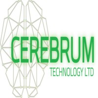 Cerebrum Technology Limited logo - Similar company to Quad Energy Solution