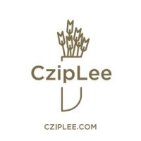 CzipLee Group of Companies logo - Similar company to New Land Developers Group