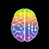 Brain Training Club Foundation logo - Similar company to Solving.Ai