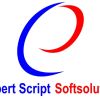 Expert Script Soft Solutions logo - Similar company to Inforadiant Technology
