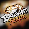 Briljant Bereik logo - Similar company to S3Squad