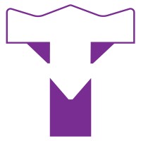 T-Shaped Marketing logo - Similar company to Raddit Solutions