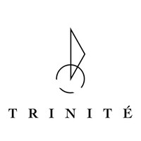 Trinité Consultants Ltd. logo - Similar company to Justdan International Co., Ltd.