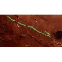Growmars