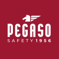 Pegaso Safety logo - Similar company to Prevyhub