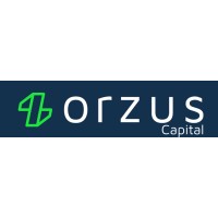 ORZUS CAPITAL CORRETORA DE SEGUROS LTDA logo - Similar company to Pz Capital