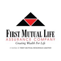 First Mutual Life logo - Similar company to Dawn Horizon Group (Dh)