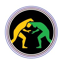 Bom Combat logo - Similar company to Integrated Submission Grappling And Combatives