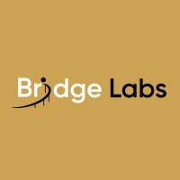 Bridge Labs logo - Similar company to Euroricambiusati
