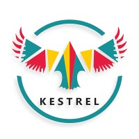 Kestrel Education logo - Similar company to Eye On Ivy