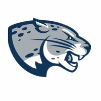 Digi Leopards logo - Similar company to Digileopard