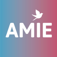 AMIE Basel logo - Similar company to Taftie