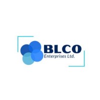 BLCO Enterprises Ltd. logo - Similar company to In.Genius
