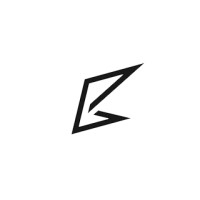 TOWNBULL VENTURES logo - Similar company to Race Directors Hq