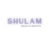 SHULAM-HEART logo - Similar company to Pala Consultancy