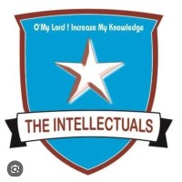 The Intellectuals School (Islamabad). logo - Similar company to Hakeem Hateem