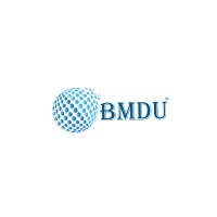 BM Digital Utilization logo - Similar company to JTE GROUP INDIA