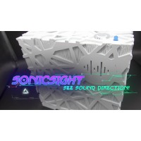 SonicSight logo - Similar company to Arctic Animations