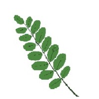 PROTECT CHEM d.o.o. Beograd logo - Similar company to Sol Chem Doo