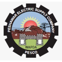Peshawar Electric Supply Company (PESCO) logo - Similar company to Saif Group