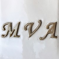 My Vintage Academy logo - Similar company to Biomedical Pharmatics
