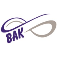 BAK Consultancy Engineering LLC logo - Similar company to Bak Consultants