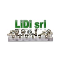 LIDI SRL logo - Similar company to Fiore Srls
