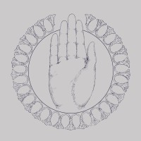 BIIADI logo - Similar company to Moitié Studio