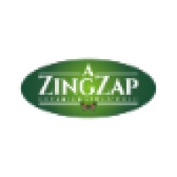 A Zing Zap Cleaning Service