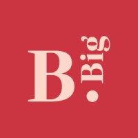B.Big Consulting logo - Similar company to Rebel Factory