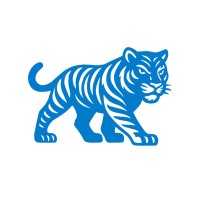 Tiger logo - Similar company to Leadbrunch