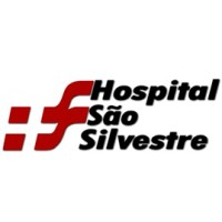 Hospital São Silvestre logo - Similar company to Go Drives