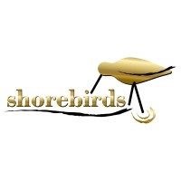 Shorebirds