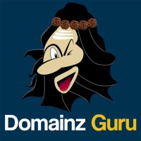 DomainzGuru logo - Similar company to Tech Bull
