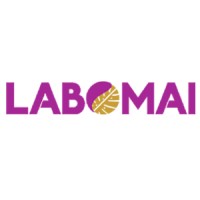 LABOMAI logo - Similar company to Delasource