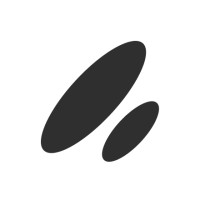ParaSpace logo - Similar company to Ownage Fiditech Llc